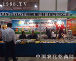 �����е���������ϏS����S�̹��Aƽ�_