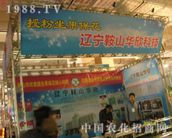 �ڷ������������|����ɽ�A���Ƽ�