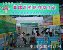 ���š����߶����ͷ��ϵ�������