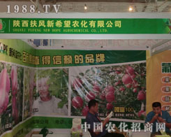 �½��r(n��ng)�Y��������L(f��ng)��ϣ����˾�k�������ˡ�