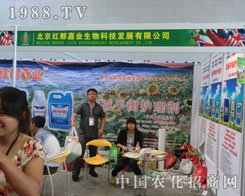 �����t���ΘI(y��)���½��r(n��ng)����(hu��)��չ�L(f��ng)��