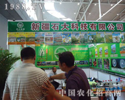 ʯ��Ƽ��ڵ�ʮһ���½��r(n��ng)������������