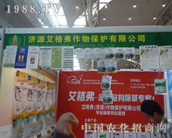 ���񸥡������N�����݌�����