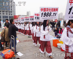 2012���ʮ�ˌÝ�(j��)��ֲ�����҂�����һ���µ��@ϲ