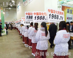 ����ֲ�����M�@1988.TV�n���L(f��ng)��