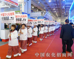 �e�۳ɹ��Ľ�(j��ng)�(y��n)��1988.TV��δ�팢������