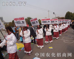 ��ݏ�ʢ���r(n��ng)���W(w��ng)�����2012��ɽ�|ֲ��չ