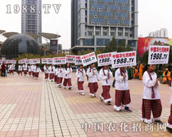 �r(n��ng)���W(w��ng)�F(tu��n)�(du��)�A�M���2012ɽ�|ֲ����(hu��)չ��(hu��)����