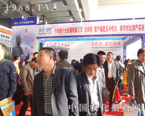 ����ֲ���������~��ֻ��Ч����������ţ�ďV��