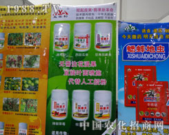 ������-�������� ����¸���