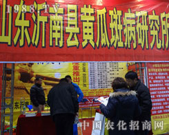 ʯ���f�r(n��ng)ˎ���������S�ϰ߲��о���¡������