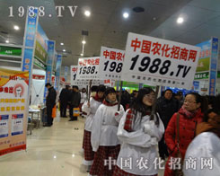 ���p���r(n��ng)���W(w��ng)�������P(y��ng)���ƏV·