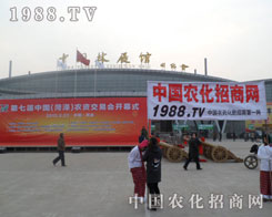 ��Խ���ң��r(n��ng)���W(w��ng)��ƴ������