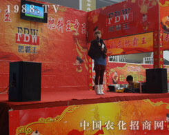 �ʰ�������˸����_(t��i)