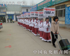 1988.TV�F꠳�푏�������