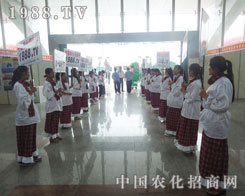 �҂��Ǖr�g�^��܏����r(n��ng)�����̾W(w��ng)�F�