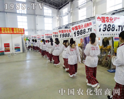 С���(y��ng)��?c��)?013�|����ʡ����չ������ֱǰ