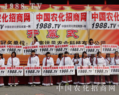 ��2013�����r(n��ng)ˎ�����D���^����С��ꖂ�