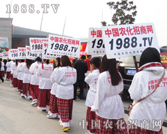 2013�����r(n��ng)ˎ�p�������r(n��ng)���W(w��ng)���񶶔\