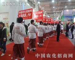 2013ɽ�|ֲ�������_���µđ�(zh��n)��