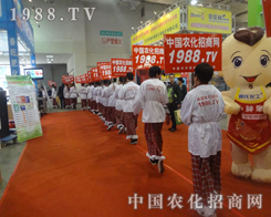 2013��19��ɽ�|ֲ�������������҂��y������Ӱ