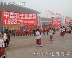 ɽ�|ֲ�����ו��ϵ�һ�N��