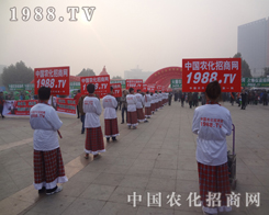 2013ɽ�|ֲ������С��ꖂ���Ź��