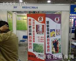 ���d��2013ɽ�|����ֲ����������