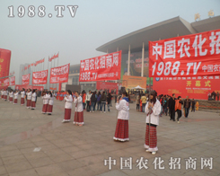 2013ɽ�|ֲ��չ�ϣ����c����