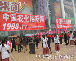 2013ɽ�|ֲ���p�������F(tu��n)꠵�������