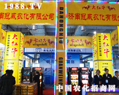 ���Ϲ�����2013��ɽ�|ֲ�����ϴ�Ů���