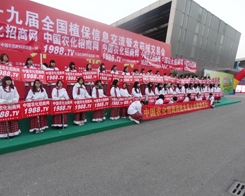 ��29��ֲ����(hu��)���r(n��ng)���W(w��ng)��(qi��ng)��(sh��)�w��(l��i)