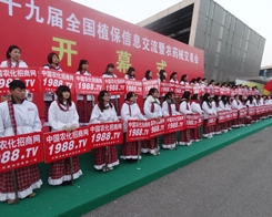 ʮһ�µ�ֲ���p����