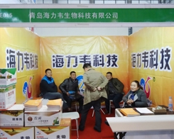 �����f��2013���Kֲ�������A�ÏV��͑���ϲ��