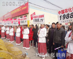 �r(n��ng)�����̾W(w��ng)���yɫ�L���o�ȷǷ�