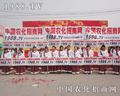 2013���f�r(n��ng)�����҂�����