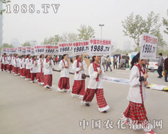 2013�������ݷ����p����������ֹ������