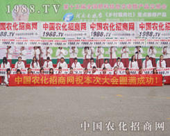 ��ʮ��÷��ϕ��x�͑�(zh��n)���Ǹ����ķe��