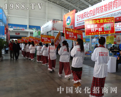 �r(n��ng)���W(w��ng)��һֱ��ģ������δ����Խ