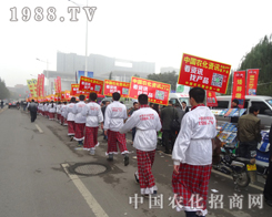 ��С���(y��ng)�����r(n��ng)���W(w��ng)����æ