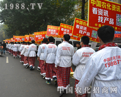 2014ɽ�|ֲ����(hu��)���_��Ļ �r(n��ng)���W(w��ng)�F(xi��n)������