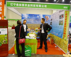 ϣ������˾�ڵ�11����ԭ�����p����(hu��)�@���u(p��ng)