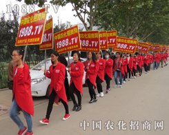 2015ɽ�|ֲ����(hu��)1988�r(n��ng)���W(w��ng)С�������������