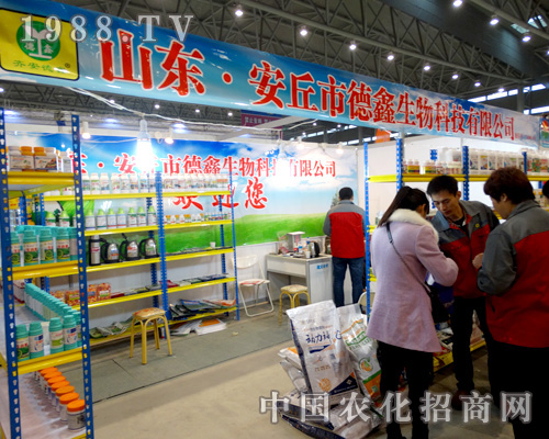 ɽ�|ʡ����¡�������31��ֲ����