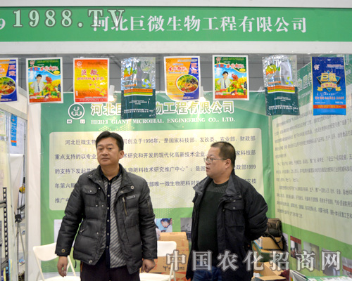 �ӱ���΢�ںϷ�ֲ�������L(f��ng)�L(f��ng)���