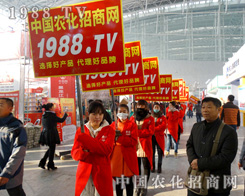 2015�����������I�N�ӕ�(hu��)�҂�?n��i)����Ը? width=