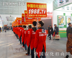 1988.TV�����ˆT�����w�P(y��ng)���������