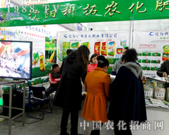 �|ꖿ�����2015�����I�N�ӕ��ς�����A��