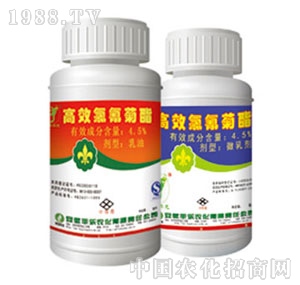 �S���r(n��ng)��-�������