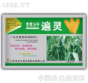 ���A��(qi��ng)-���։Ѷ�һ���`